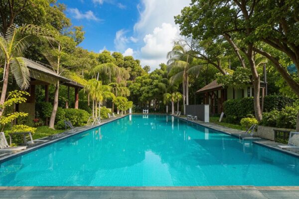 Unique swimming pools surrounded by nature