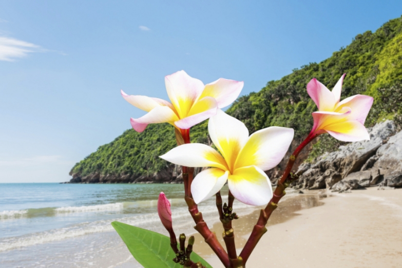 Malaysia romantic vacation