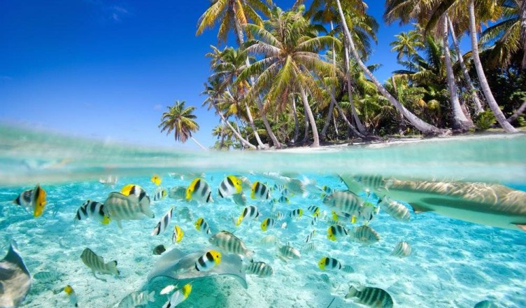 seychelles vacation romantic